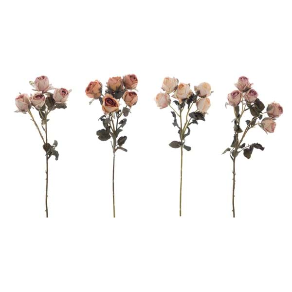Rosa Blanc Mariclò Florileggio 43 cm - immagine 3