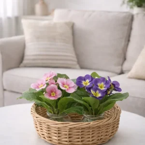 Primula Cespuglietto artificiale 24h Cm-Edg